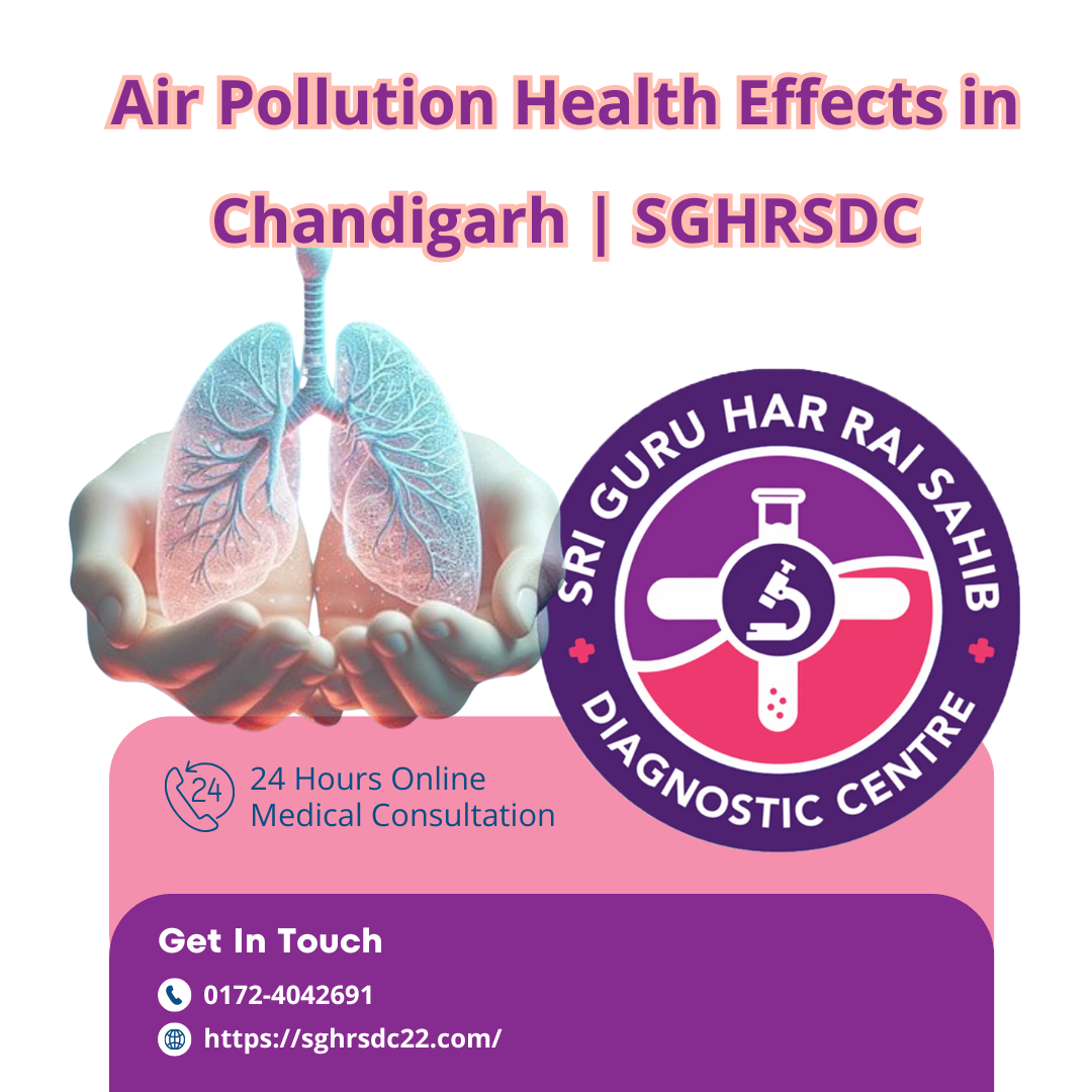  Air Pollution Health Effects in Chandigarh 